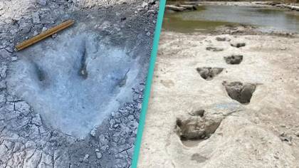 Dinosaur tracks from 113 million years ago revealed after severe drought