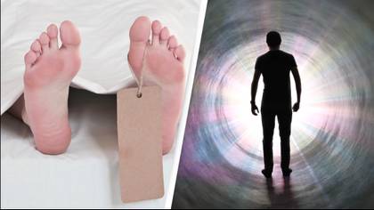 Scientist says life after death is scientifically impossible