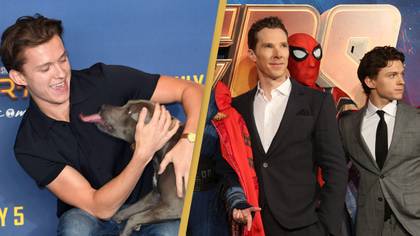 Tom Holland Reveals How His Dog Annoyed Benedict Cumberbatch On Set