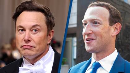 Elon Musk responds to Mark Zuckerberg introducing fee for verified Facebook and Instagram users