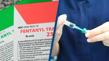 Fentanyl vaccine created by scientists hailed as 'game-changer'