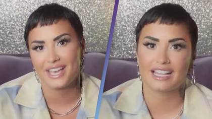 Demi Lovato Confirms She’s Adopted She/Her Pronouns Again