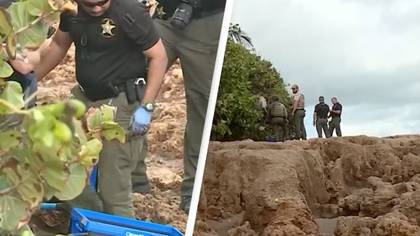 Person discovers human skulls and skeletal remains on beach after hurricane hits area