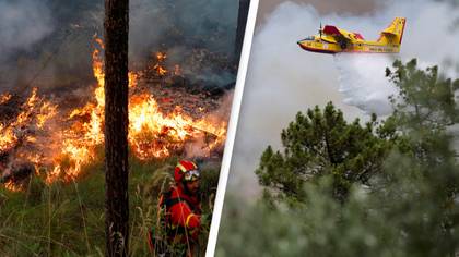 5,000 More People Evacuated From Homes In France As Forest Fires Hit Europe