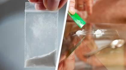 Reason discovered why certain people are addicted to cocaine