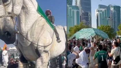 Saudi fans are going absolutely wild after turning up on trojan horse and beating Argentina