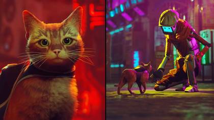 Game Where You Play As A Cat Has Become The Highest Rated Game Of 2022