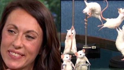 Pole Dancer Who Quit Her Job For Mouse Taxidermy Divides Opinion