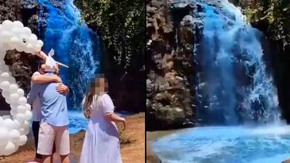 Couple slammed for interfering with nature just for their gender reveal party
