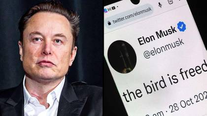 Elon Musk confirms Twitter will charge for blue tick privilege
