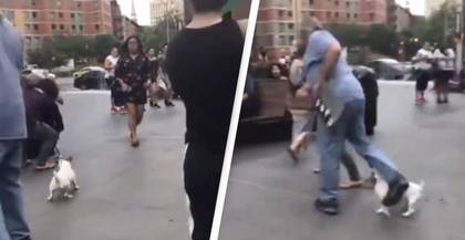 Man Violently Reacts After ‘Karen’ Appears To Throw Dog Poo At Him