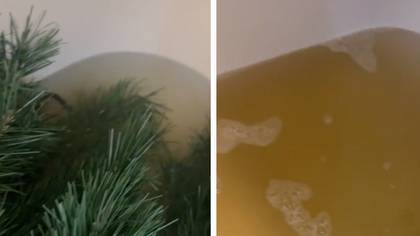 Woman shares shock results after washing years-old Christmas tree