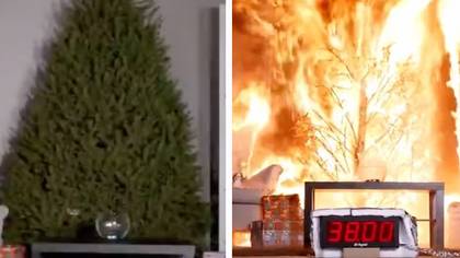 Terrifying video shows why you must look after your tree properly if you buy a real one