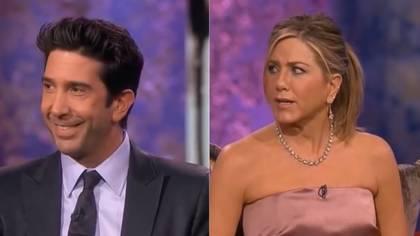 Friends Fans Losing It Over Jen And David's Response To Sex With Castmates Question