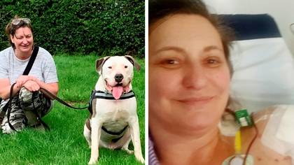 Woman who lost arm after being mauled by American bulldog sues RSPCA