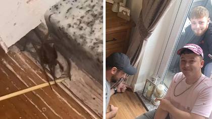 Family left terrified after finding 'biggest spider in Britain' in their home