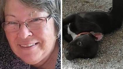 Grandmother killed by pit bull she took into her holiday home as a starving stray