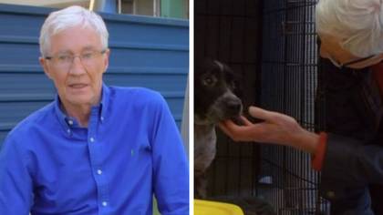 Paul O’Grady fans praise ITV's For the Love Of Dogs for ‘keeping him alive’