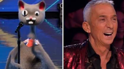 Britain's Got Talent viewers believe they have found out the real identity of CGI cat Noodle