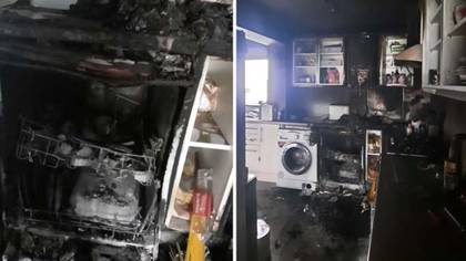 Family of four left homeless and mourning their pets after dishwasher fire