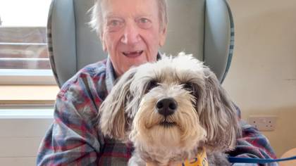 Therapy Dog Has Been Able To Return To Dementia Care Homes And Residents Are So Happy