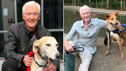Paul O'Grady's death sparks huge donations for Battersea Dogs and Cats Home