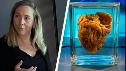 Woman visits her own heart inside museum 16 years after it was removed