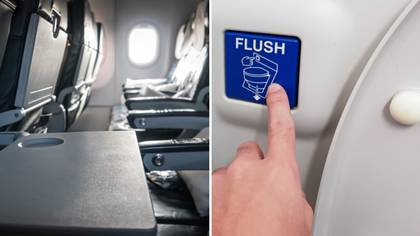 Travel expert shares the dirtiest parts of a plane and how passengers just can't avoid touching it