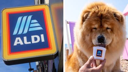 Aldi's sell-out Doggy Ice Cream is back in stores tomorrow