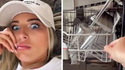 People left stunned by 'game-changing' secret feature inside dishwashers