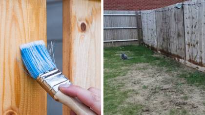 Woman furious after neighbour stained fence without permission and 'completely ruined it'