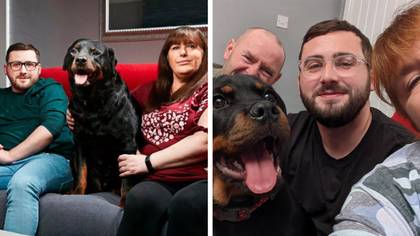 Gogglebox family The Malones left devastated as pet dog Dave dies