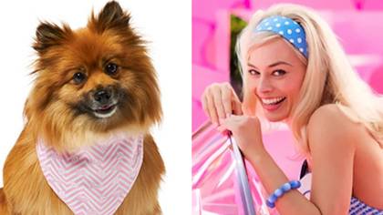 You can now buy Barbie pet accessories especially for your dog