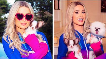 Paris Hilton called out by PETA after getting new puppy from breeder