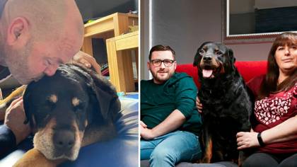 Gogglebox Stars Heartbroken As Beloved Rottweiler Dies