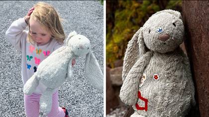 Mum offers cash reward to help find daughter's missing rabbit toy