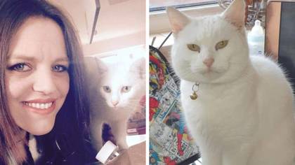 Mum heartbroken after cat died when she accidentally locked her in tumble dryer