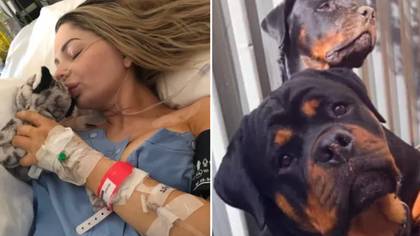 Woman attacked by her two Rottweilers makes tough decision to put down dog