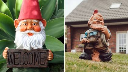 People left stunned after discovering why people have gnomes in their gardens