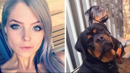 Rottweiler breeder hits back after woman is viciously mauled by her two dogs