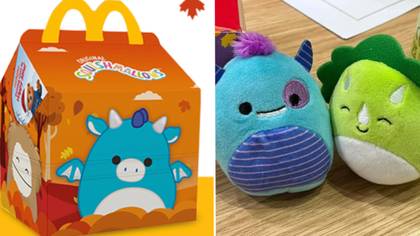 McDonald’s fans go wild as new Squishmallows are released early