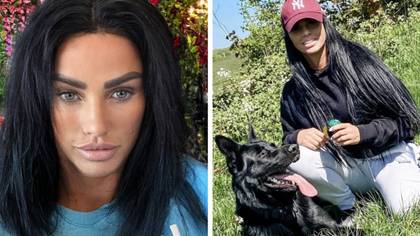 Katie Price buys another puppy after death of seven pets