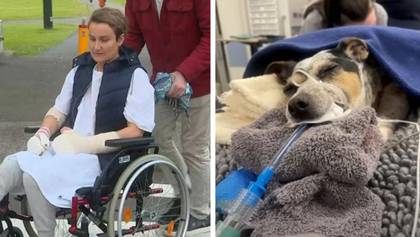 Woman says she's 'lucky to be alive' after pet dog died in 'horrifying' dog attack