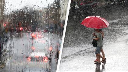 Scientists confirm some people are able to smell when rain is coming