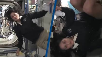 Astronaut shows the bizarre way they have to sleep in space