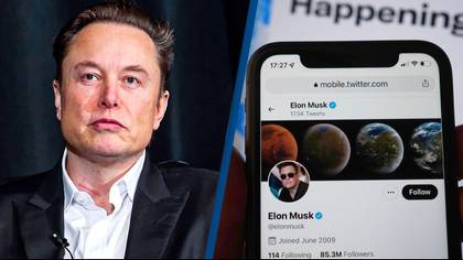 Twitter Blue subscribers are revolting because Elon Musk is personally paying for some celebrities' blue ticks