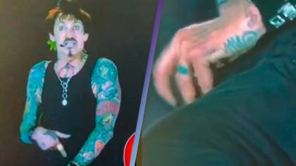 Crowd shocked as Tommy Lee pulls out his 'wiener' during middle of concert
