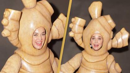 Katy Perry fans praise her for bizarre giant ginger costume