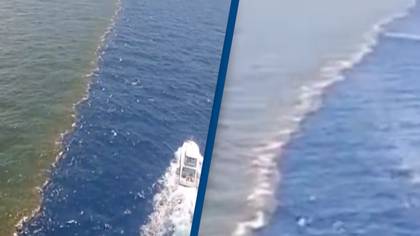 Incredible point where the Mississippi River meets the Gulf of Mexico explained