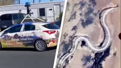 Truth Behind Giant Snake Skeleton Found On Google Maps